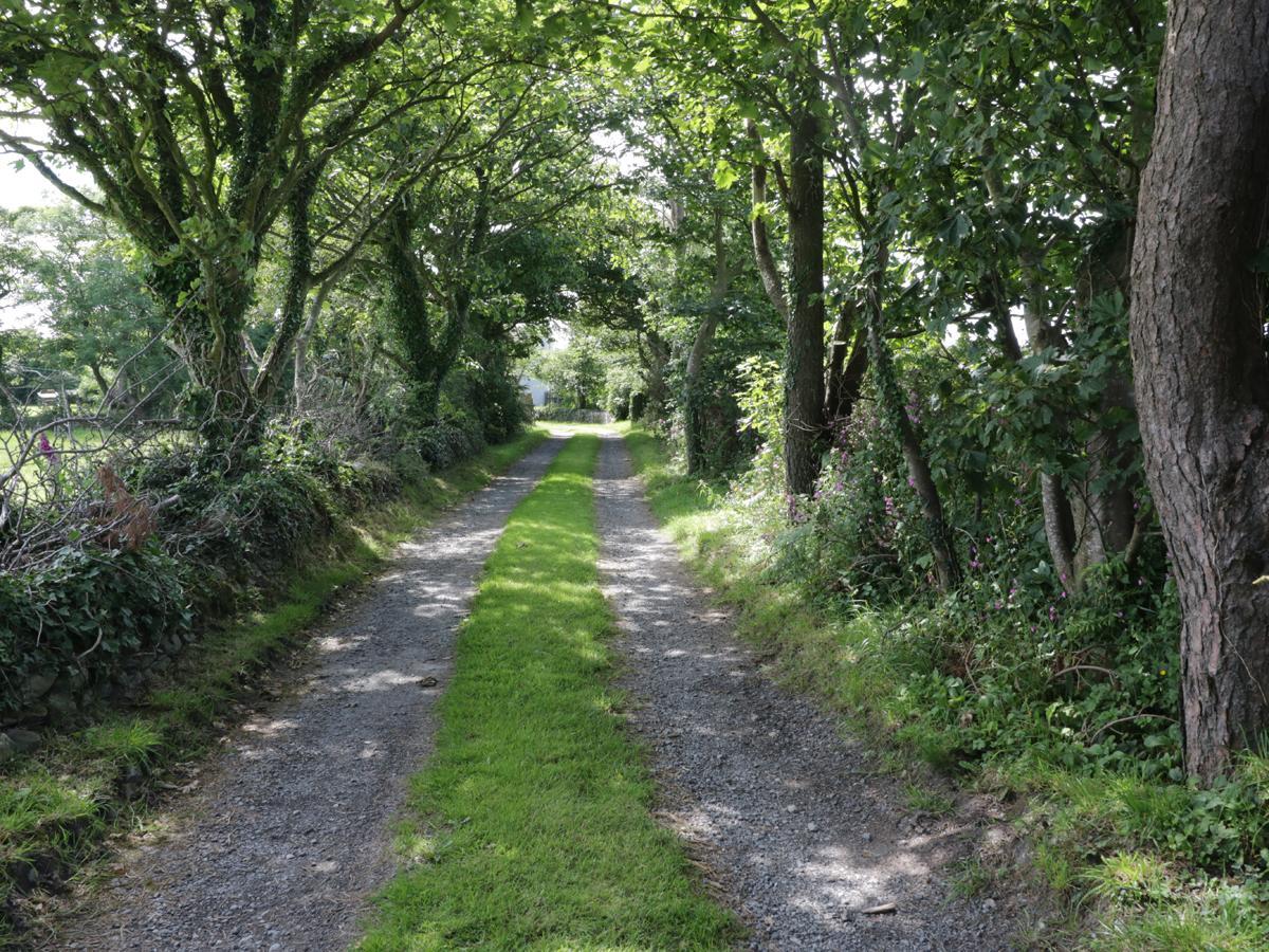 Bodegri Cottage Llanfflewyn Zewnętrze zdjęcie